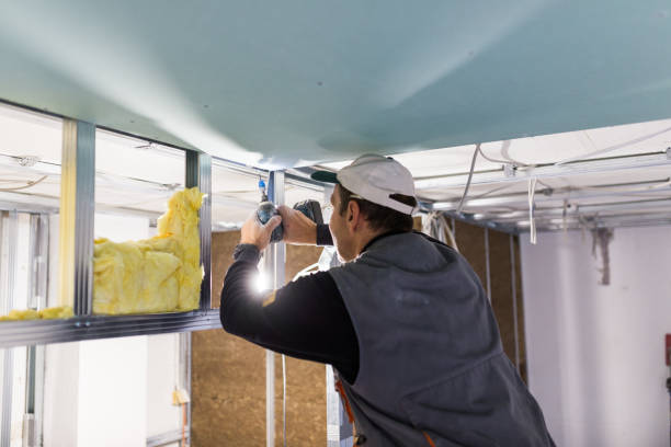 Best Insulation Installation Services in White Hall, AR